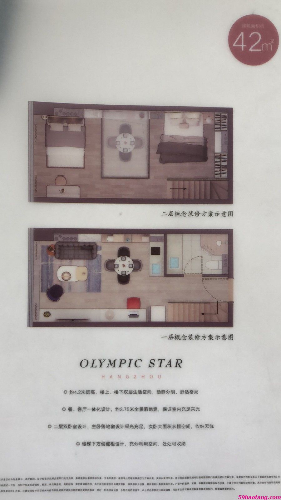 德信网新·奥体之星