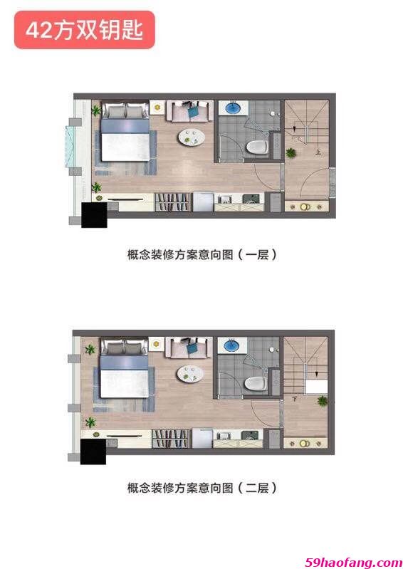 德信网新·奥体之星